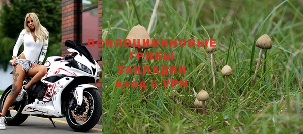 крисы Красноперекопск