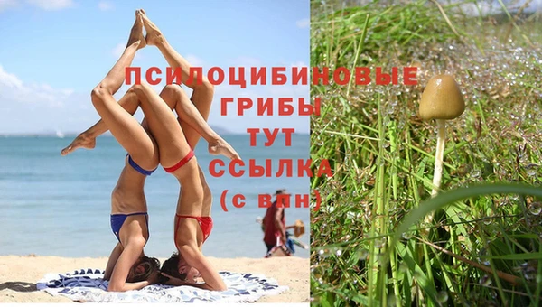 ГАЛЛЮЦИНОГЕННЫЕ ГРИБЫ Краснослободск